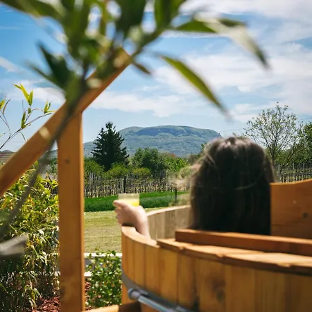 Dandelion Vendeghazak Holiday home