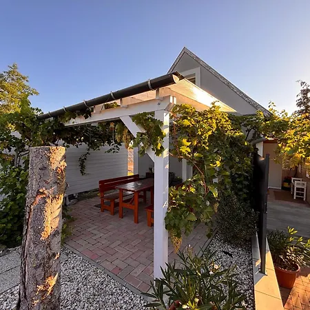 Dandelion Vendeghazak Kisapati