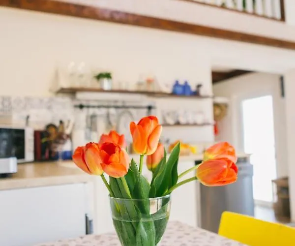 Dandelion * Kisapati