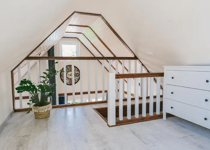 Dandelion Vendeghazak *