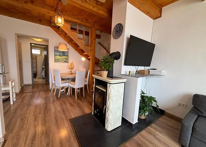 Dandelion * Kisapati