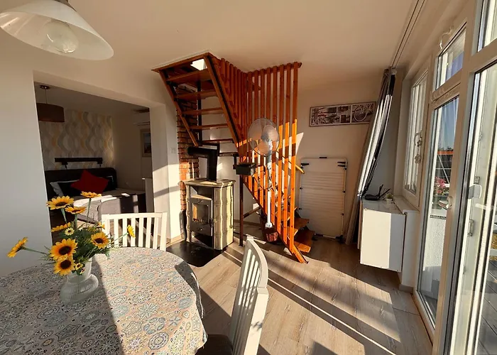 Dandelion Vendeghazak